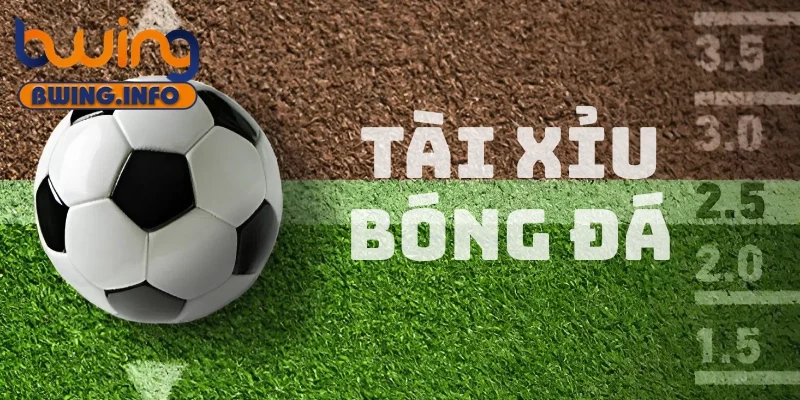 Tài xỉu bóng đá là gì? Hướng dẫn chơi tài xỉu bóng đá luôn thắng 1 Khái niệm đơn giản về tài xỉu bóng đá